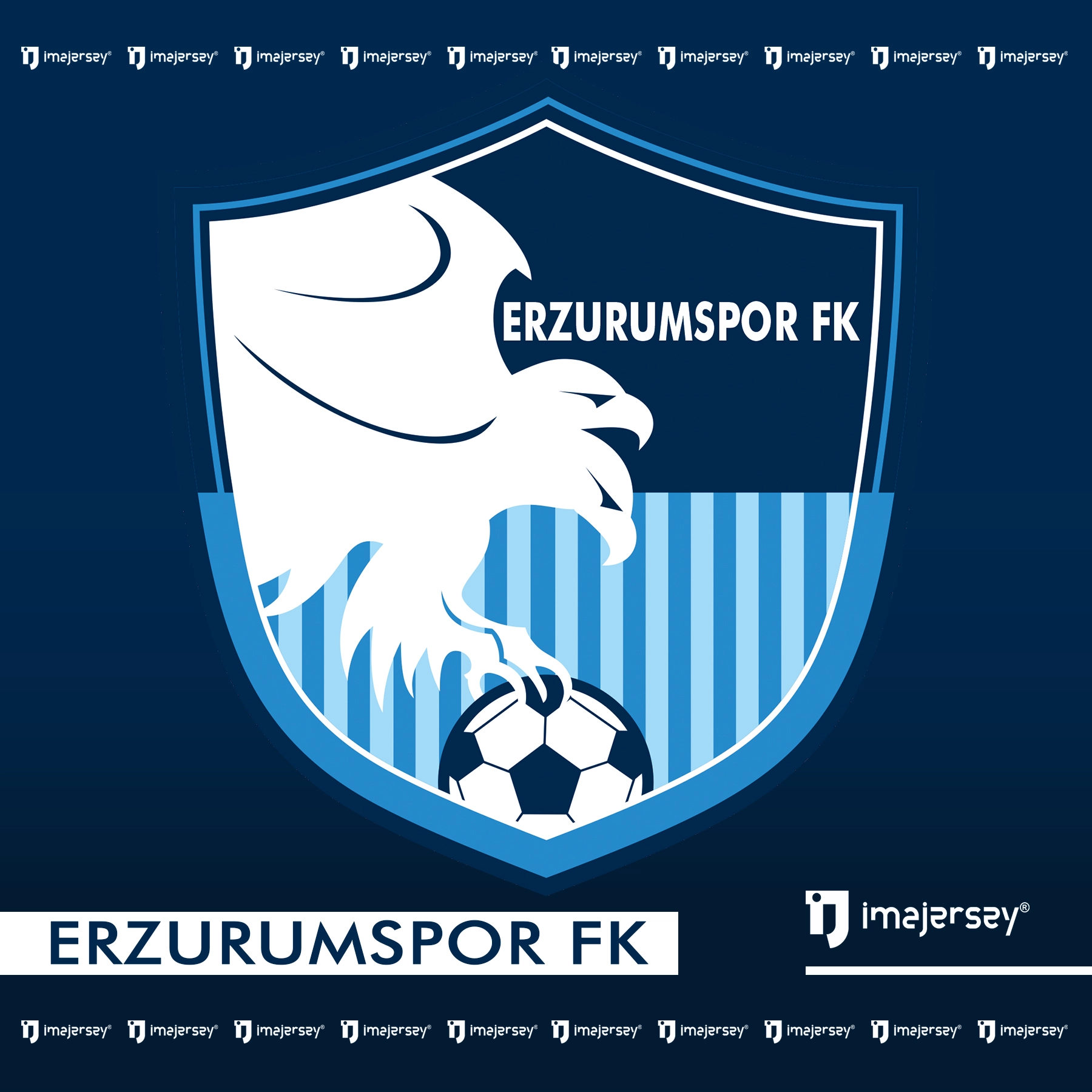 Erzurumspor Fk